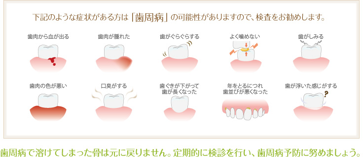 歯周病で溶けてしまった骨は元に戻りません。定期的に検診を行い、歯周病予防に努めましょう。 